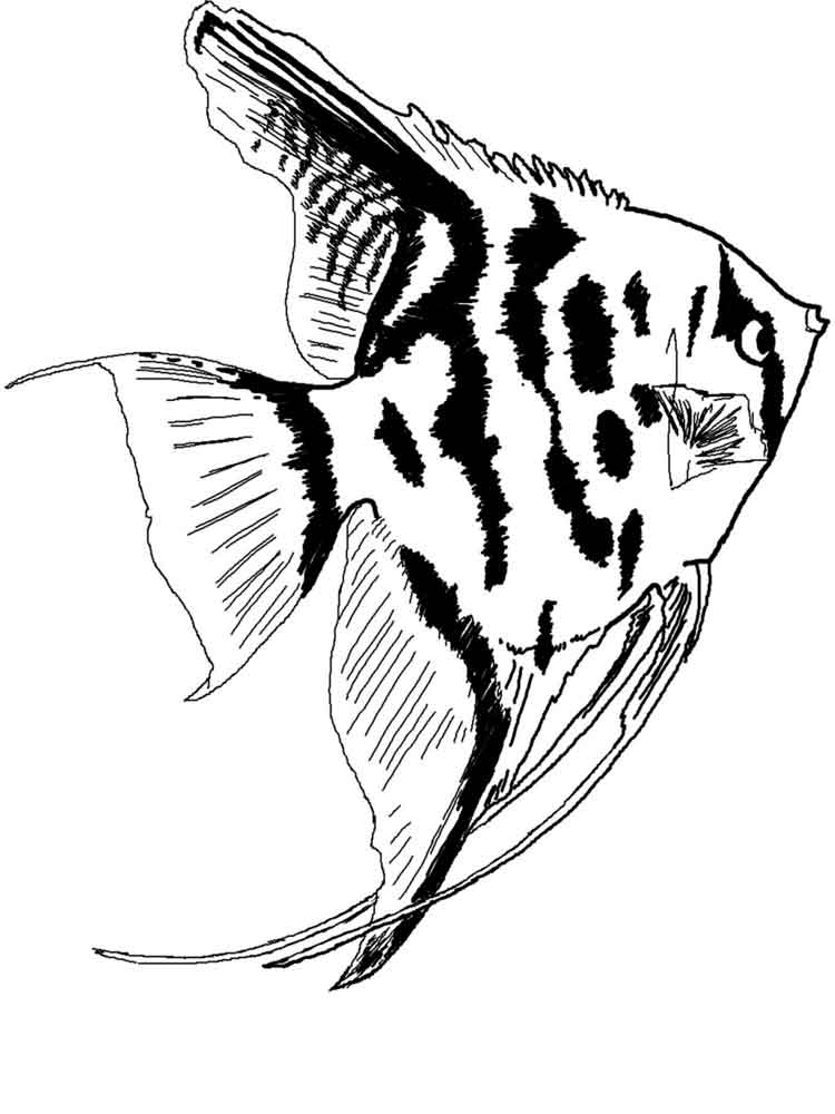 Get 85 Tropical Fish Coloring Pages Ideas 41
