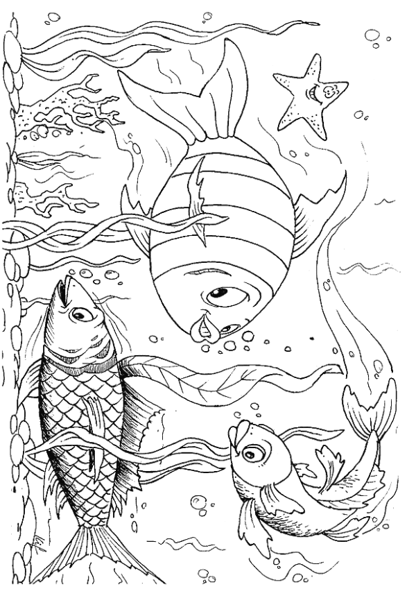 Get 85 Tropical Fish Coloring Pages Ideas 46
