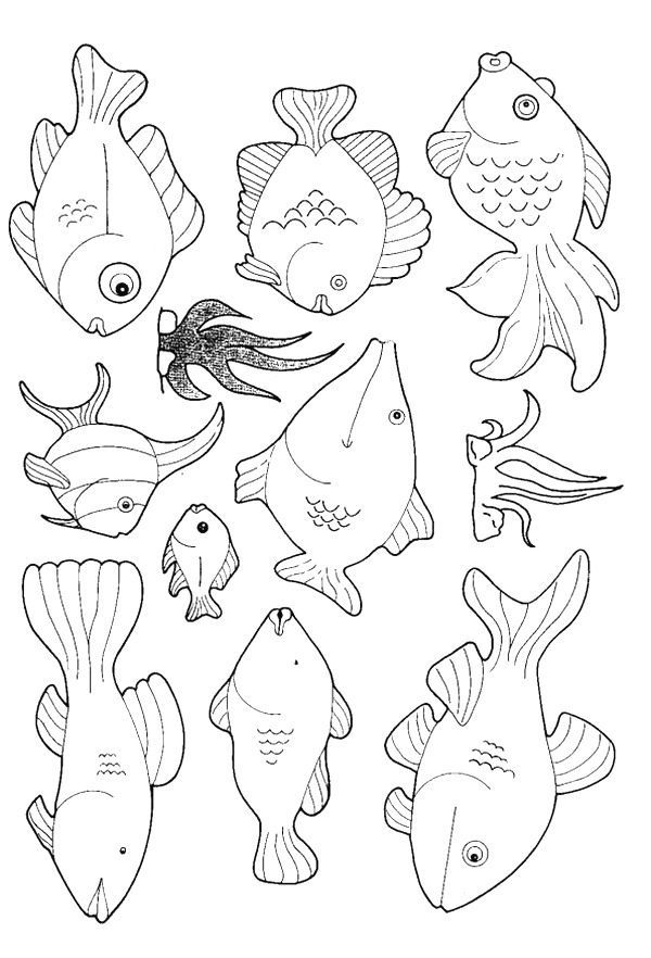Get 85 Tropical Fish Coloring Pages Ideas 48