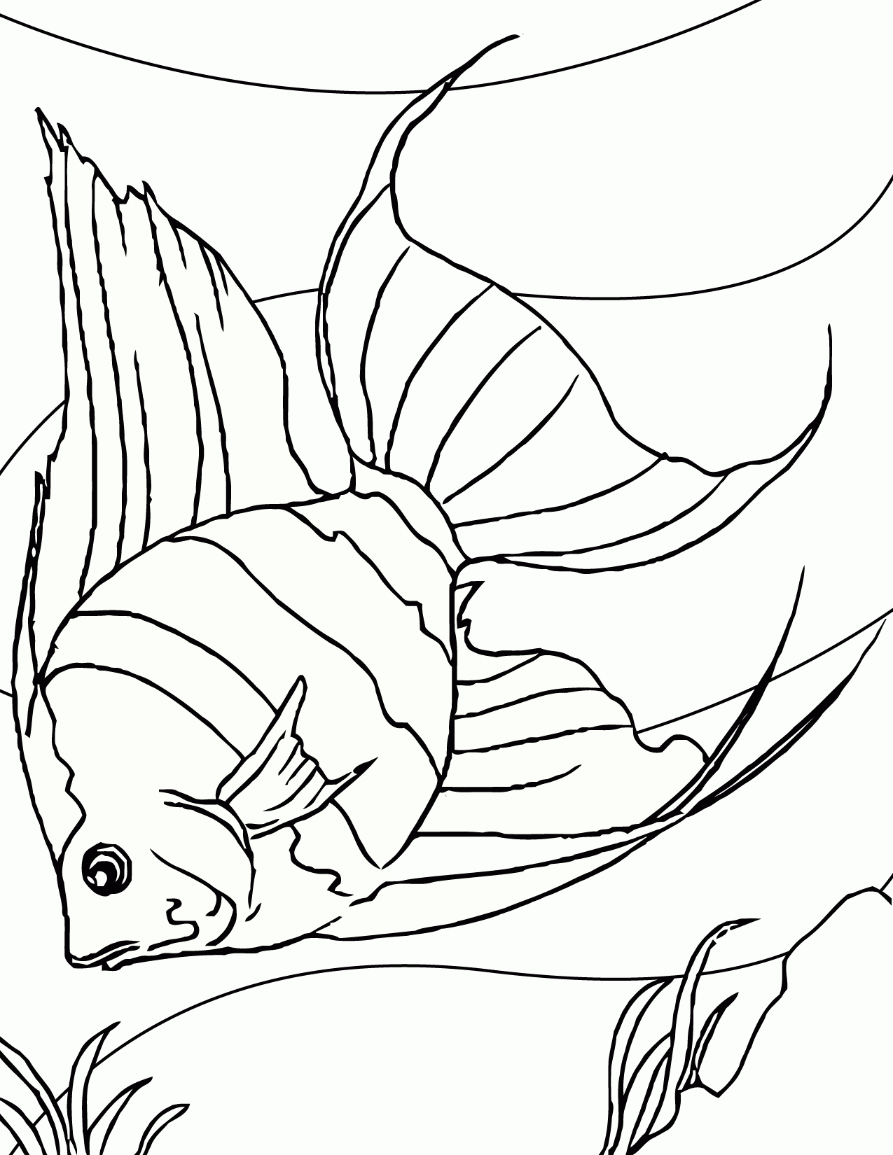 Get 85 Tropical Fish Coloring Pages Ideas 50
