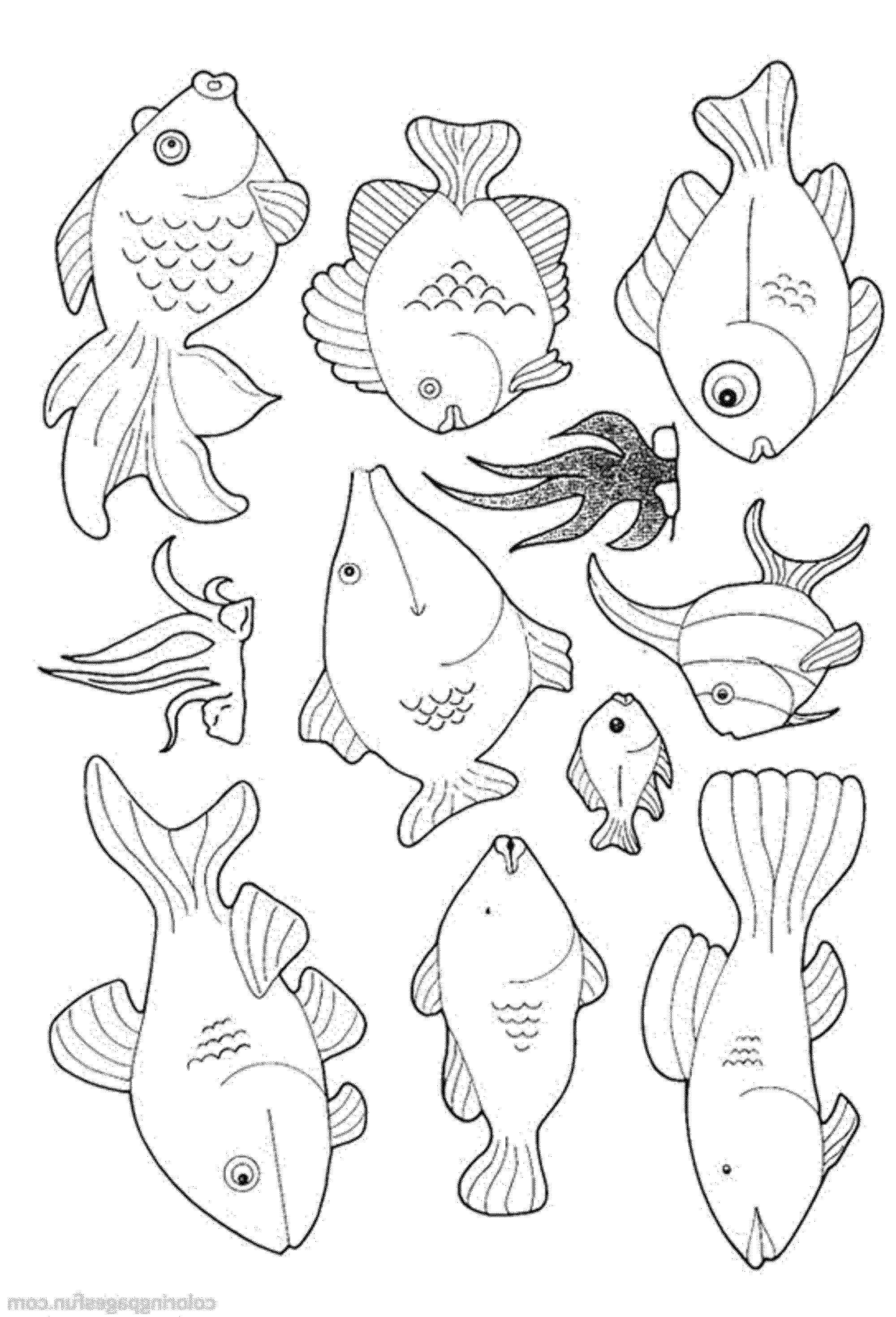 Get 85 Tropical Fish Coloring Pages Ideas 51