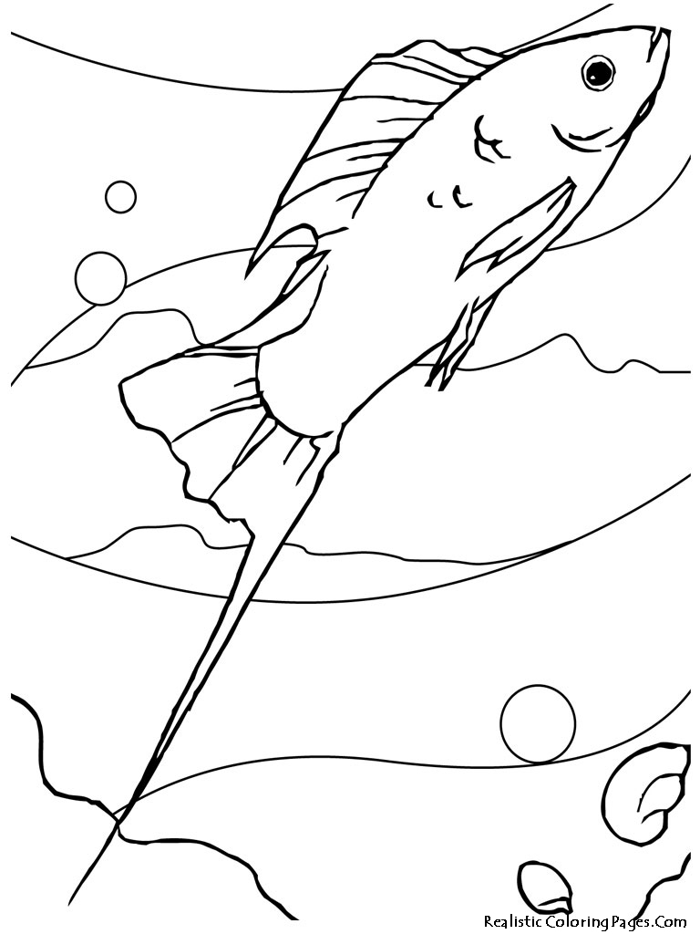 Get 85 Tropical Fish Coloring Pages Ideas 54