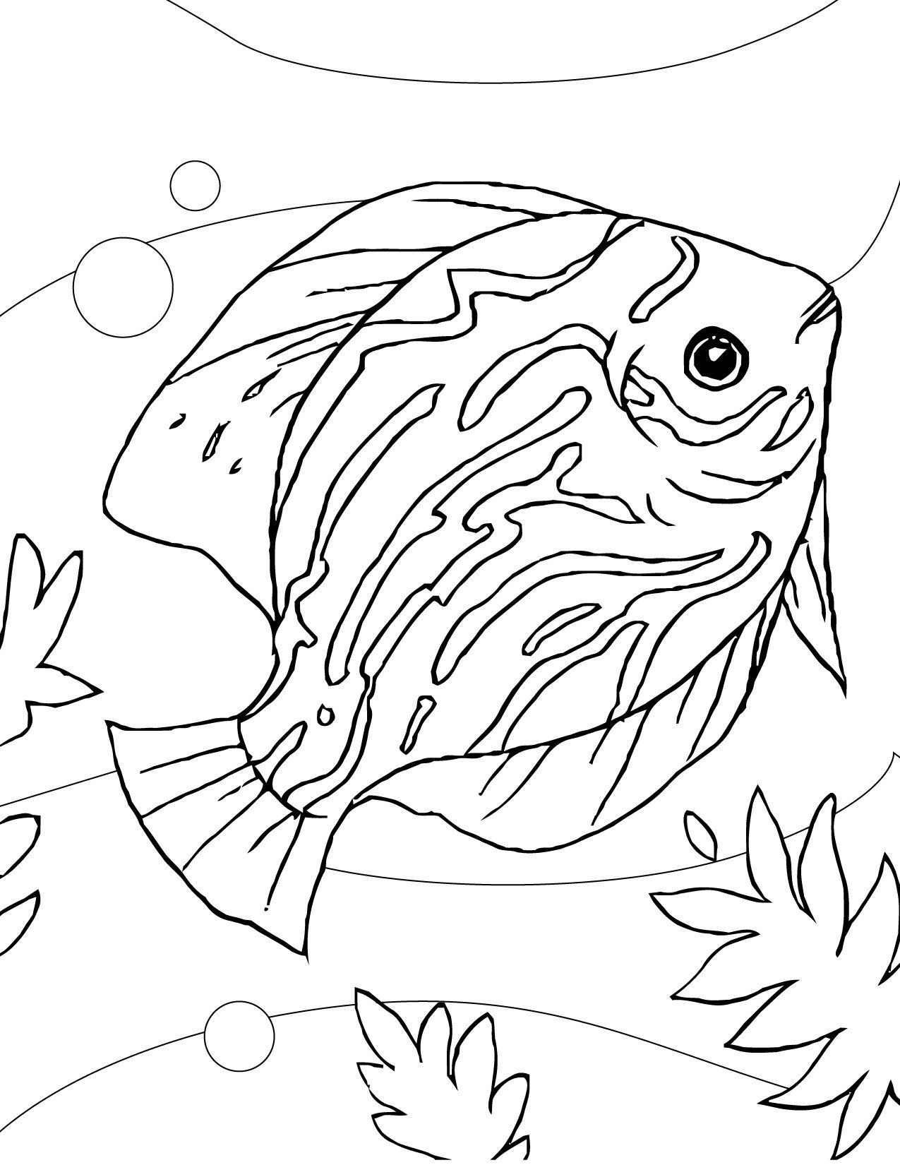 Get 85 Tropical Fish Coloring Pages Ideas 57