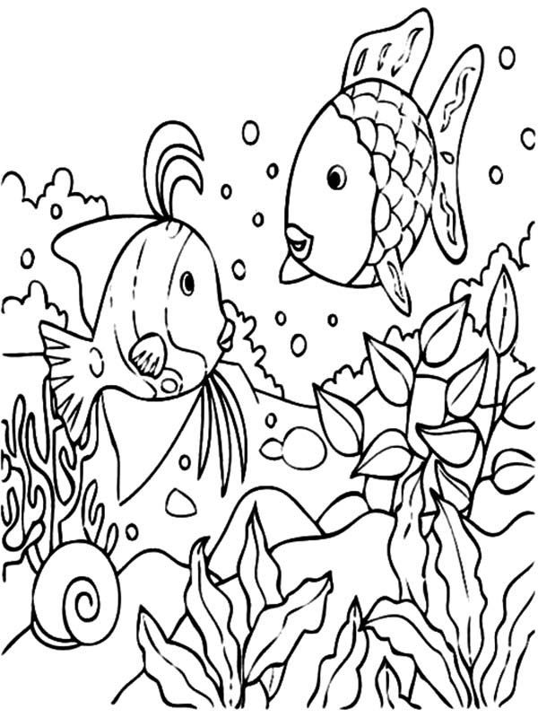 Get 85 Tropical Fish Coloring Pages Ideas 60