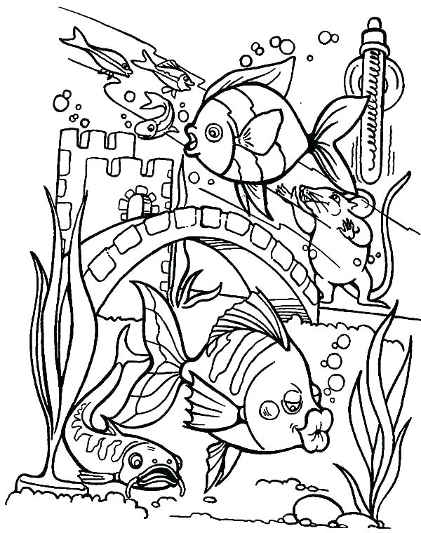 Get 85 Tropical Fish Coloring Pages Ideas 62