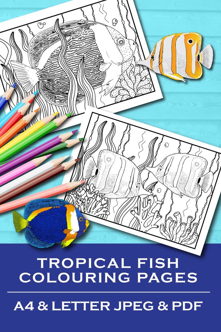 Get 85 Tropical Fish Coloring Pages Ideas 65