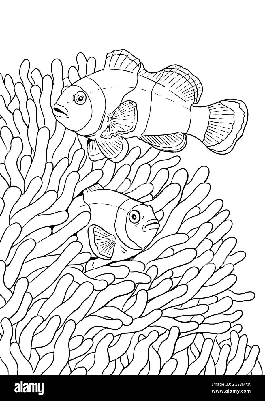 Get 85 Tropical Fish Coloring Pages Ideas 8