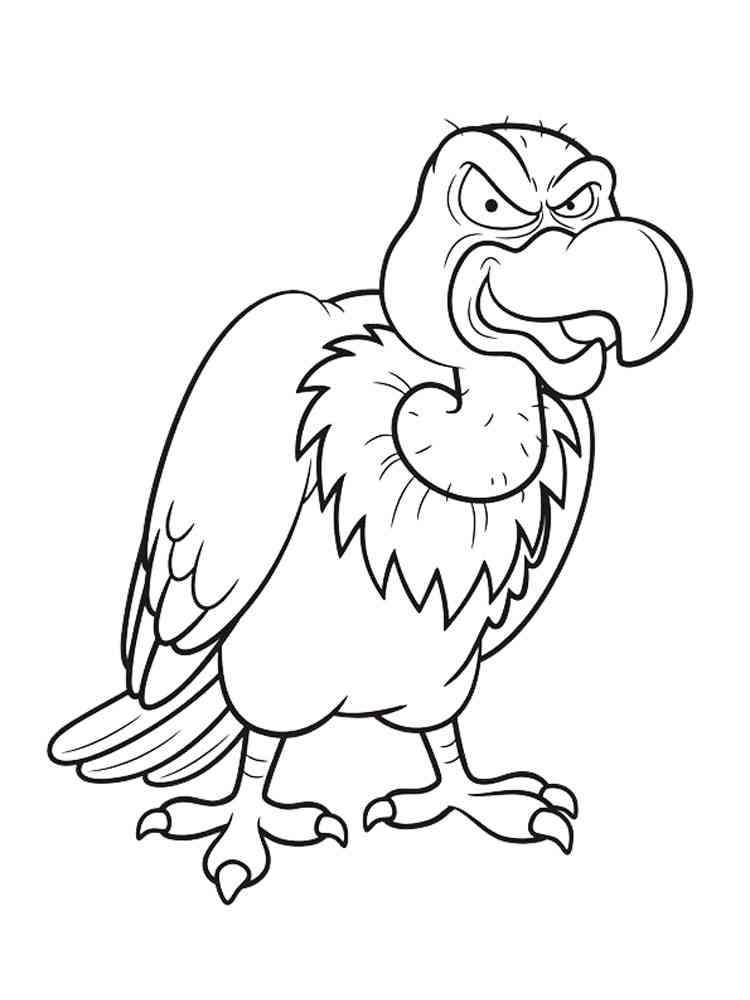 Get 85 Vulture Coloring Page Ideas 13