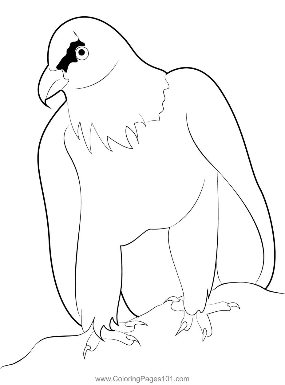 Get 85 Vulture Coloring Page Ideas 16