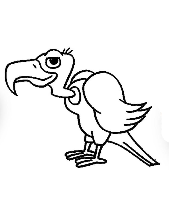 Get 85 Vulture Coloring Page Ideas 17
