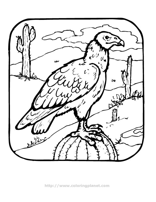 Get 85 Vulture Coloring Page Ideas 21