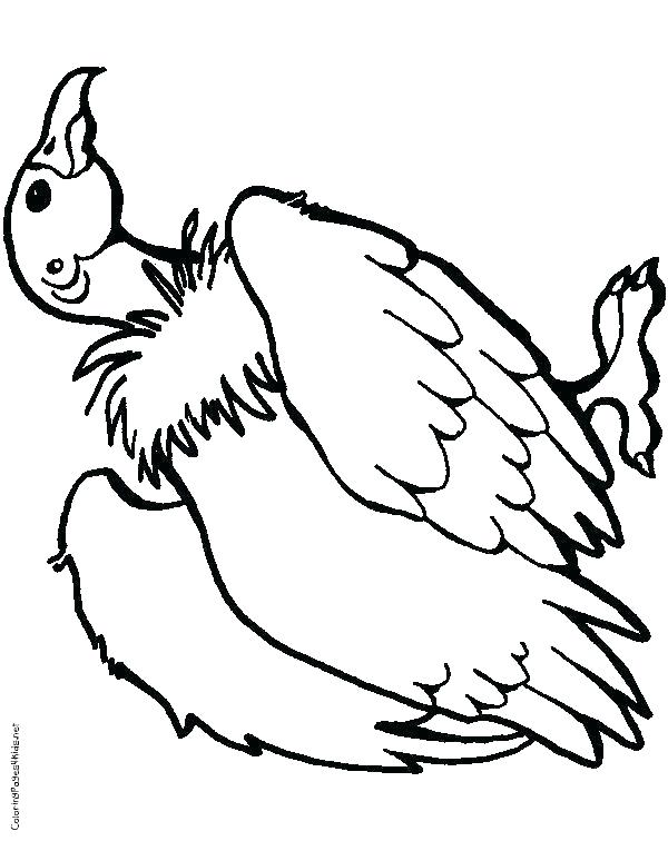 Get 85 Vulture Coloring Page Ideas 24