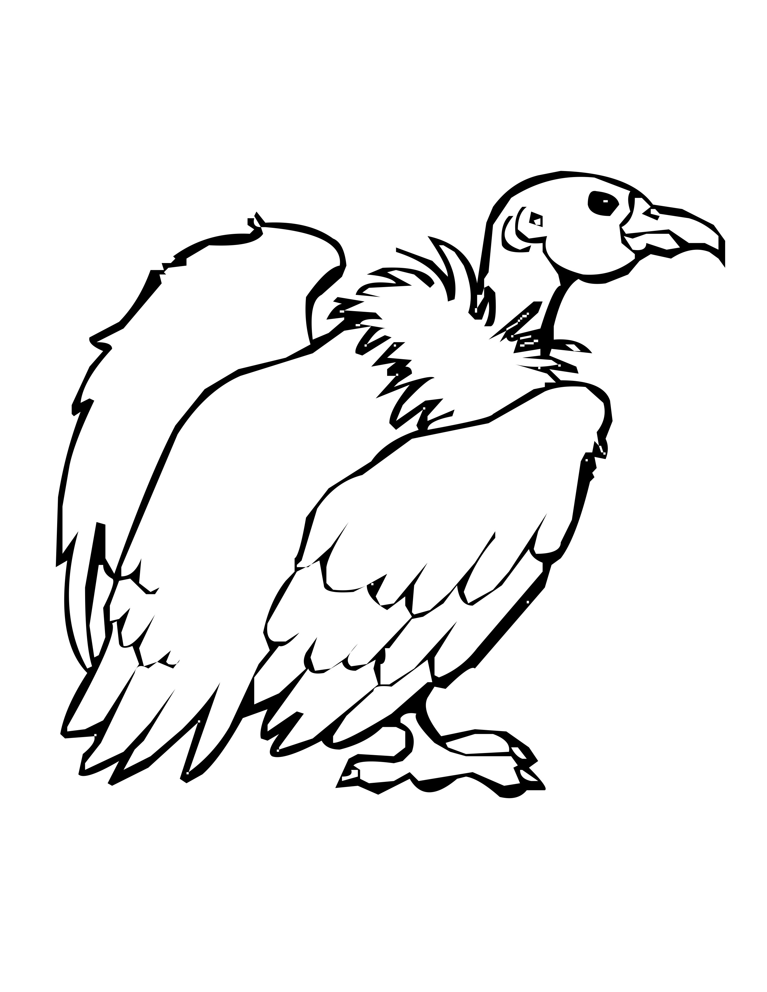 Get 85 Vulture Coloring Page Ideas 26