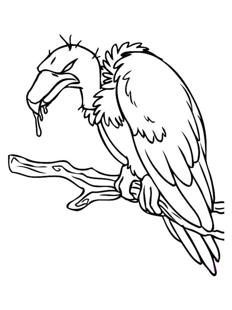 Get 85 Vulture Coloring Page Ideas 27