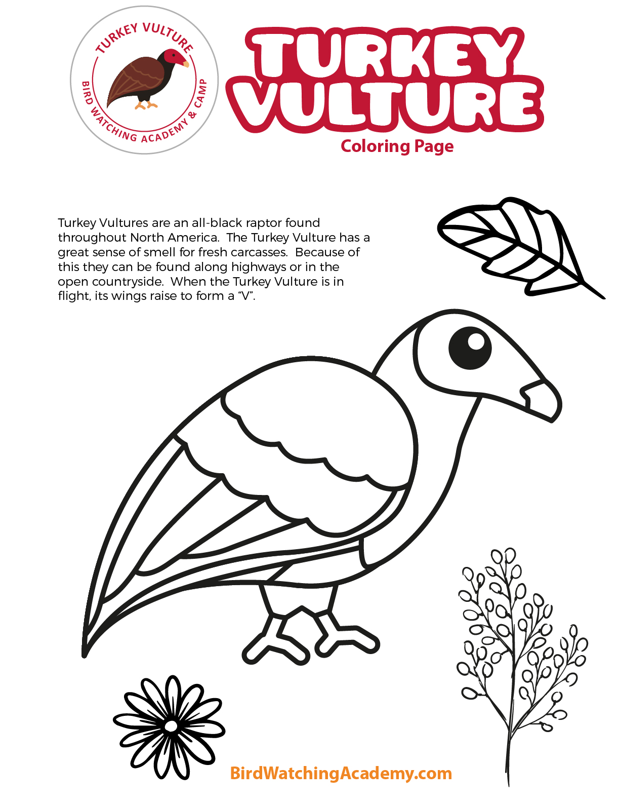 Get 85 Vulture Coloring Page Ideas 29