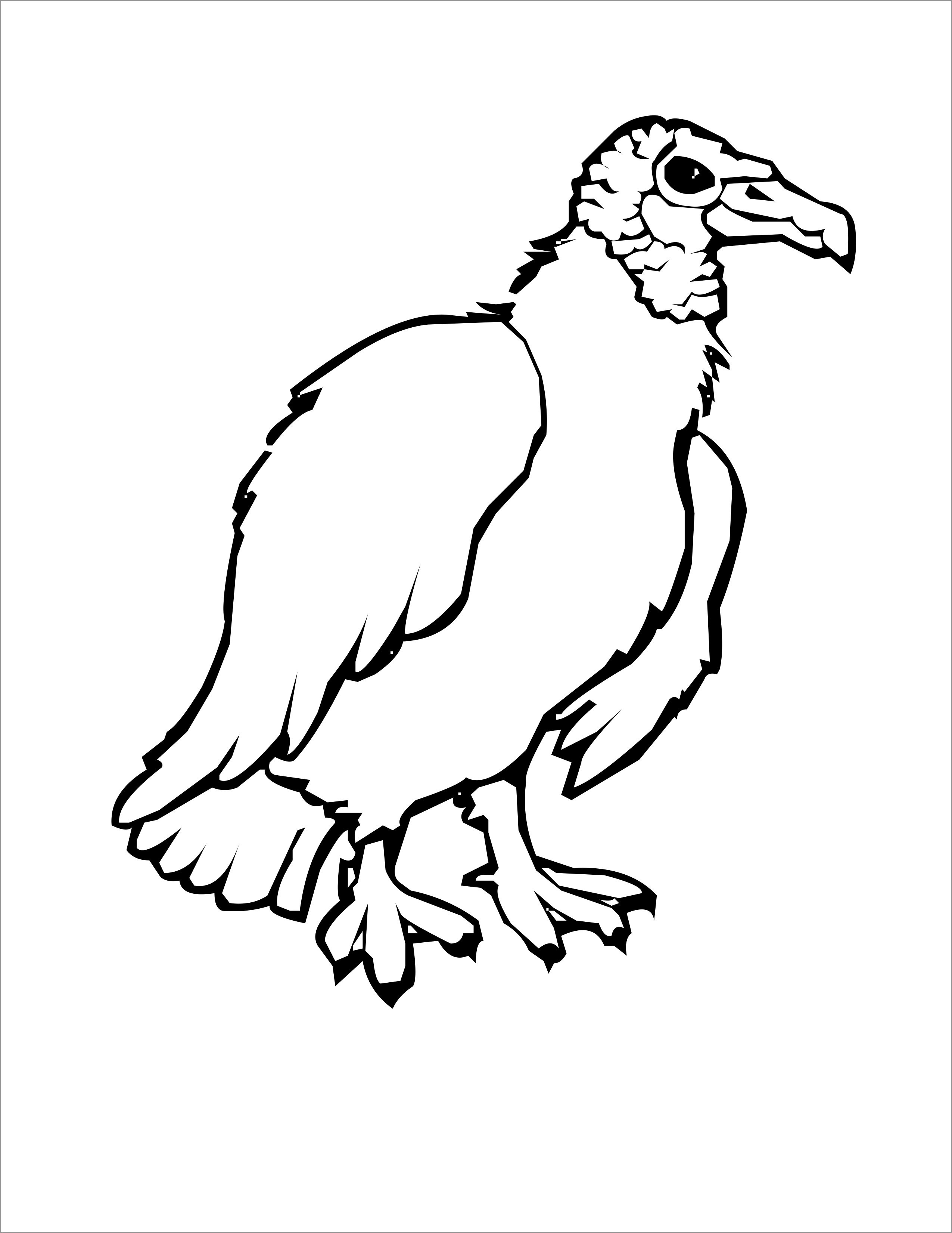 Get 85 Vulture Coloring Page Ideas 3