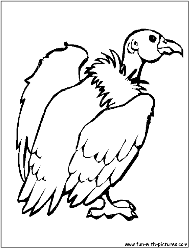 Get 85 Vulture Coloring Page Ideas 34