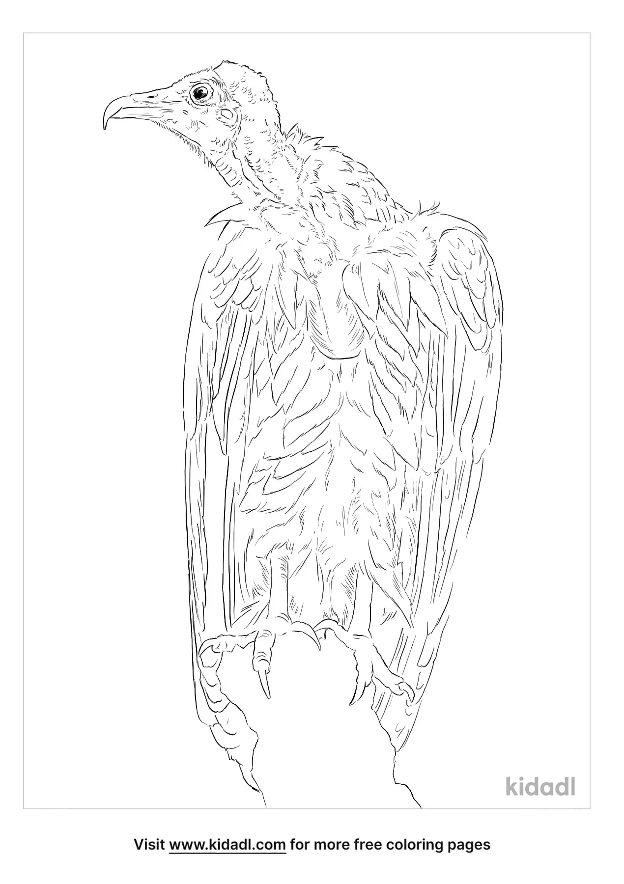 Get 85 Vulture Coloring Page Ideas 36