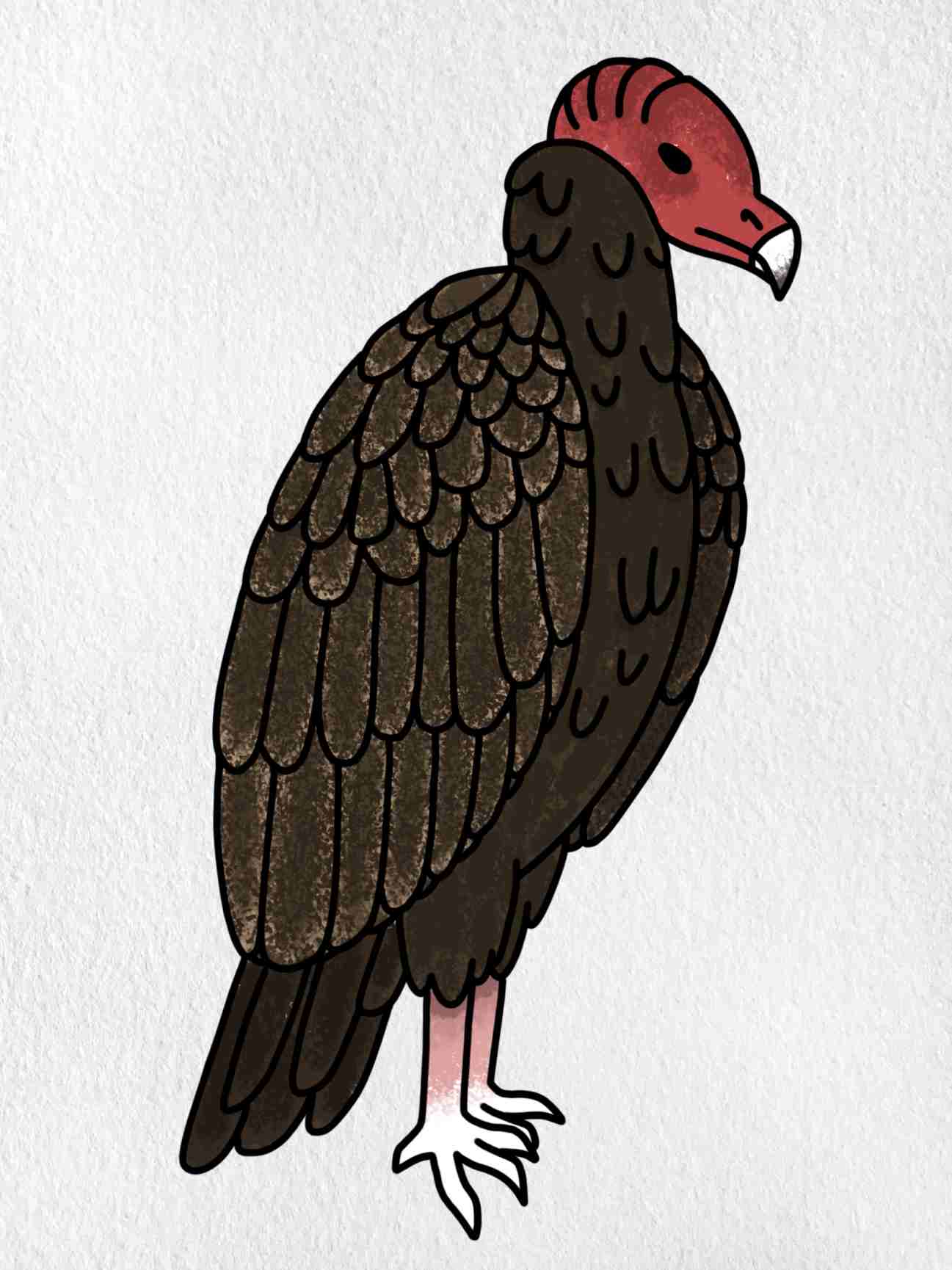 Get 85 Vulture Coloring Page Ideas 40