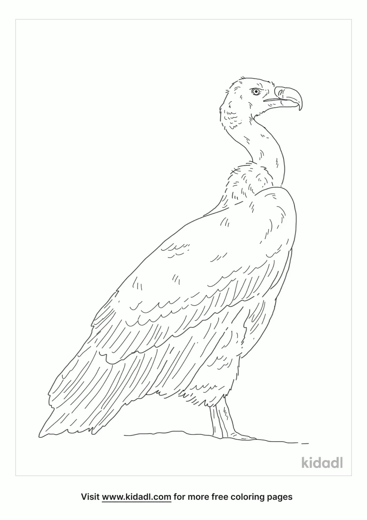 Get 85 Vulture Coloring Page Ideas 51