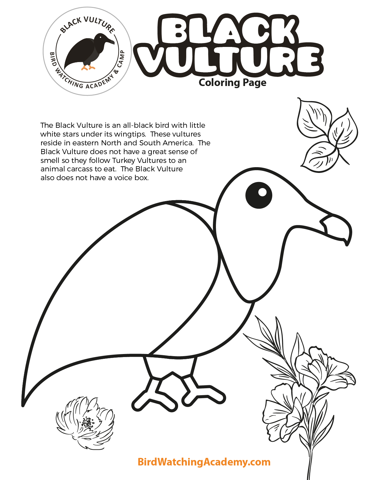 Get 85 Vulture Coloring Page Ideas 53
