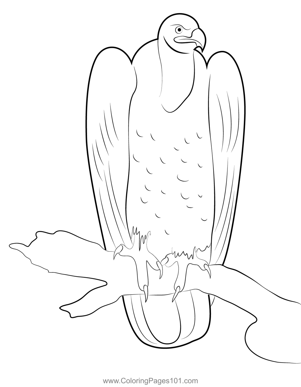 Get 85 Vulture Coloring Page Ideas 56