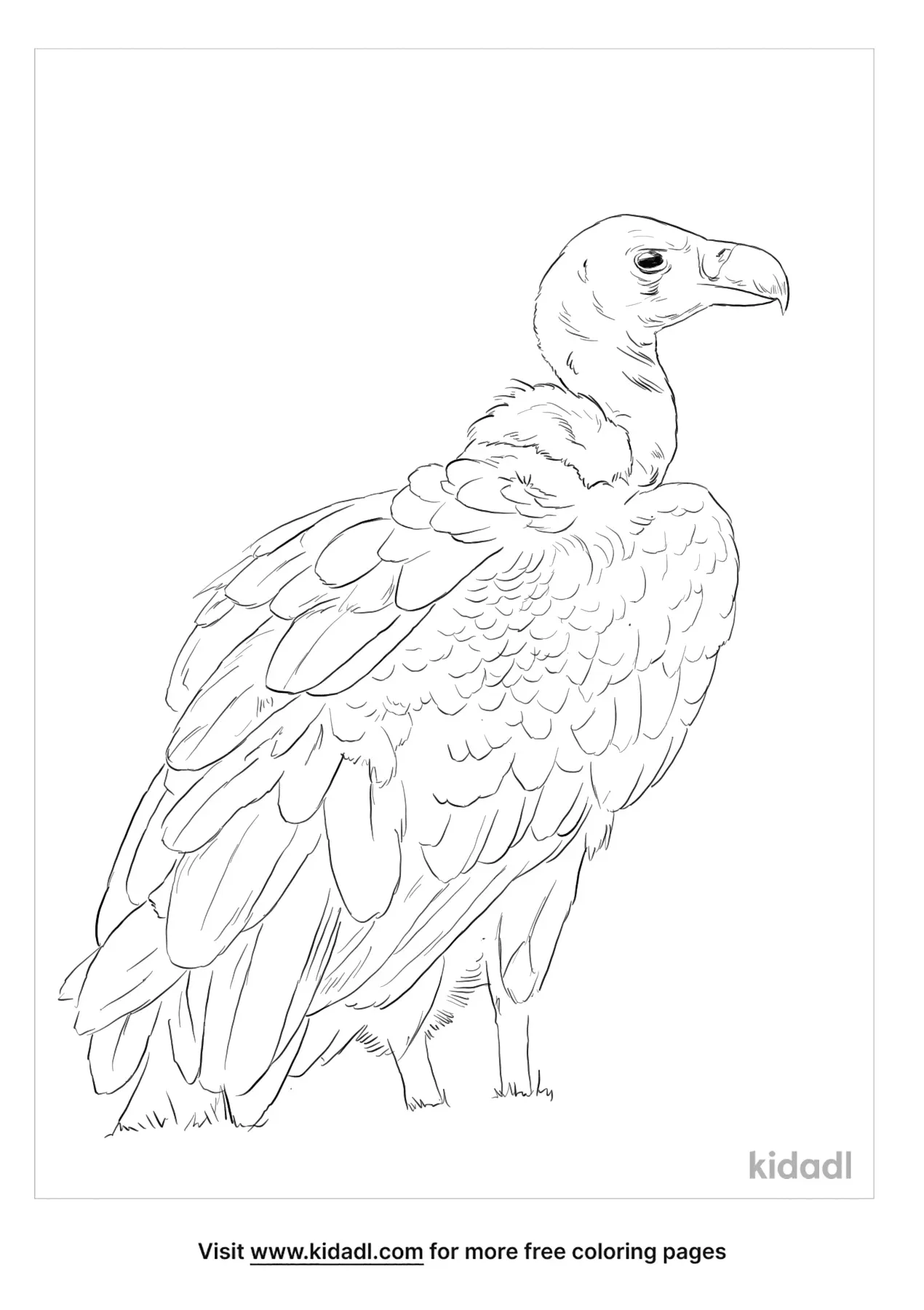 Get 85 Vulture Coloring Page Ideas 59