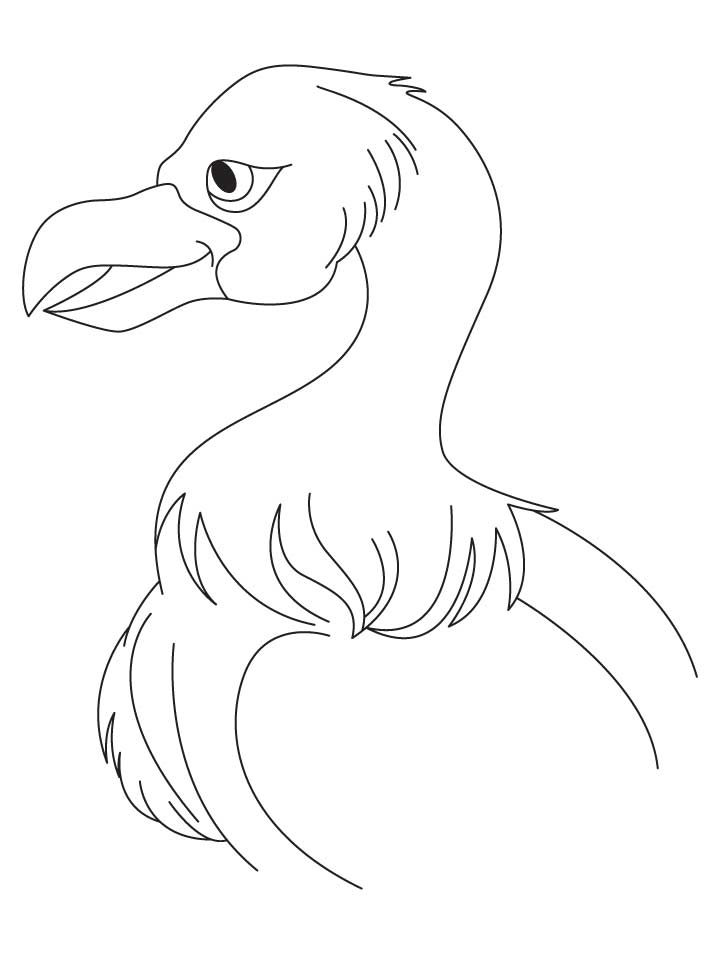 Get 85 Vulture Coloring Page Ideas 61