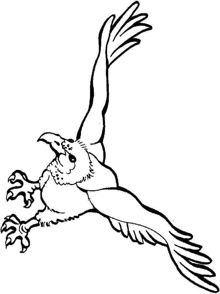 Get 85 Vulture Coloring Page Ideas 7