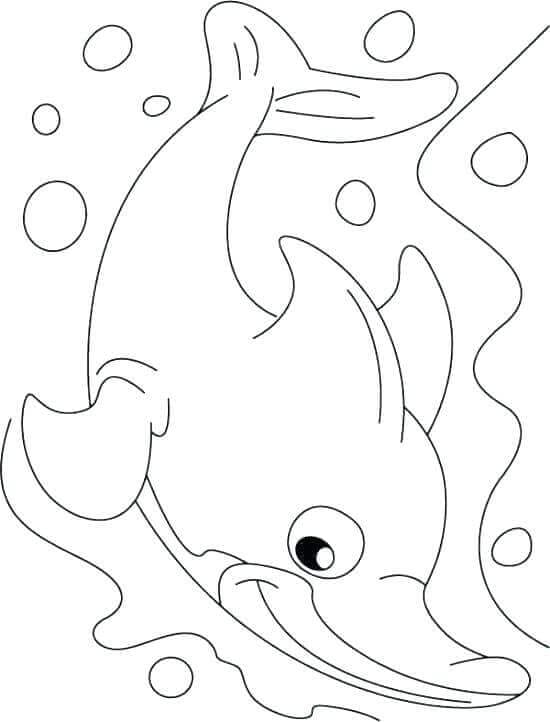 Save 60 Dolphin Coloring Pages To Print Out Ideas 29