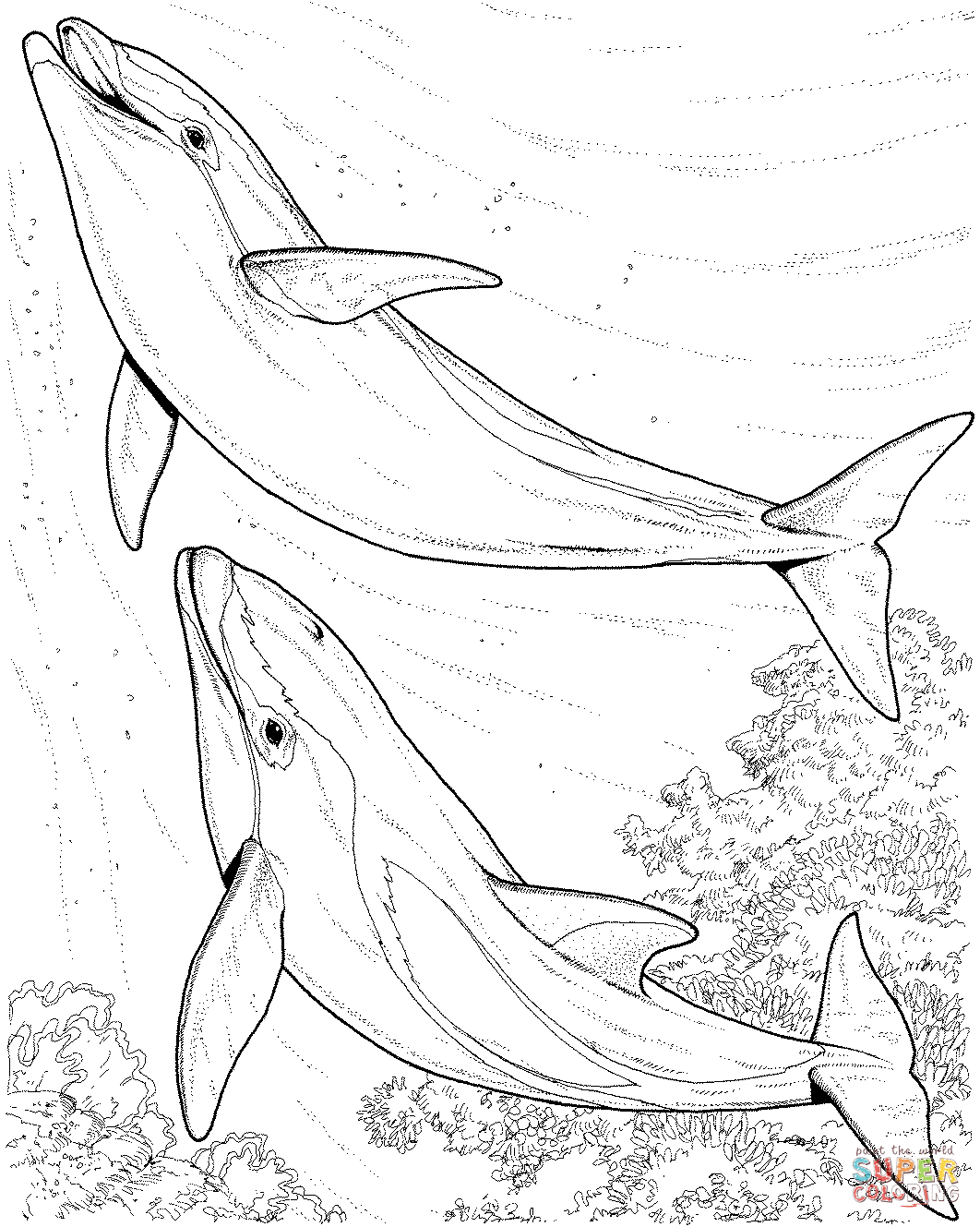 Save 60 Dolphin Coloring Pages To Print Out Ideas 6