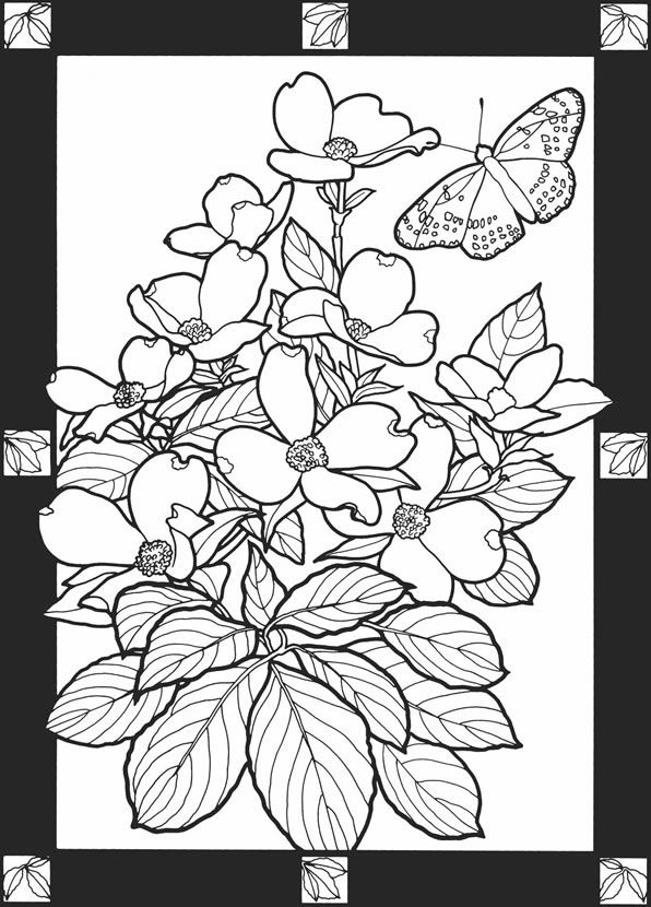 Save 60 Summer Dover Coloring Pages Ideas 44